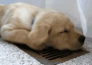 山海经中以乳为目以脐为口的怪物,山海经搞笑图片