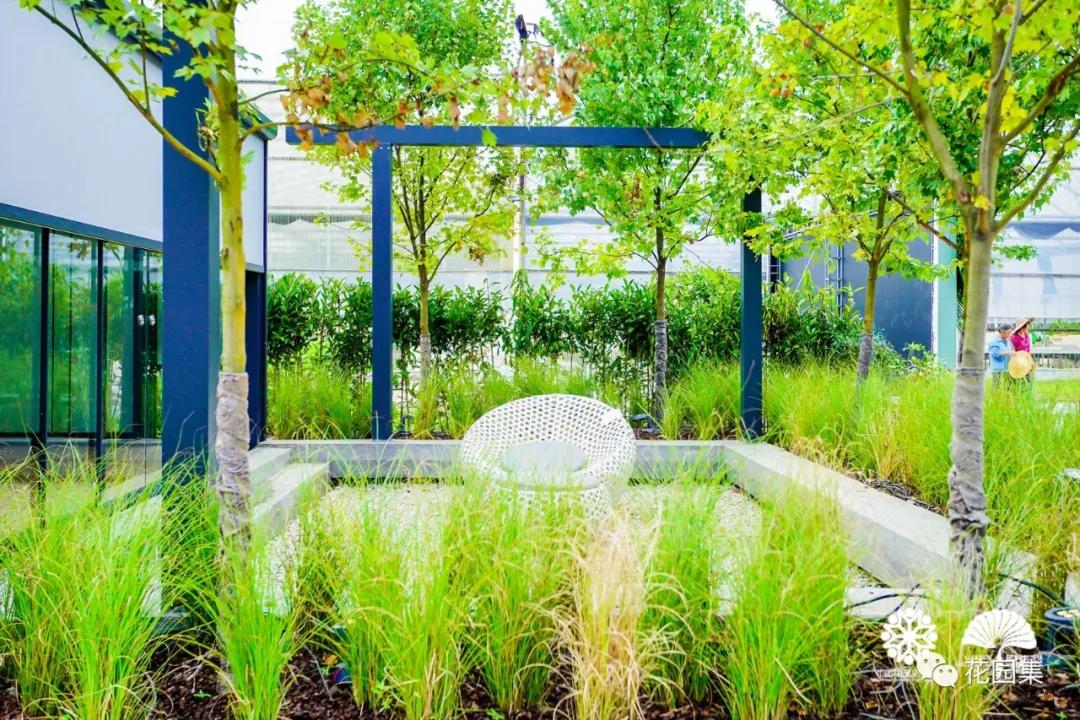 鑺卞洯鐩涘涔愯嚦,鑺卞洯鐩涘瀹屾暣