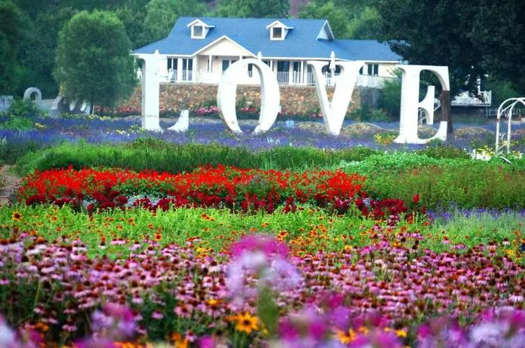 城郊休闲农业案例分享：“紫海香堤”多元创意组合模式