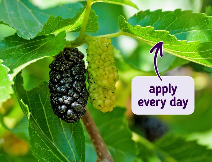 减轻面部色素沉着的10种小妙招