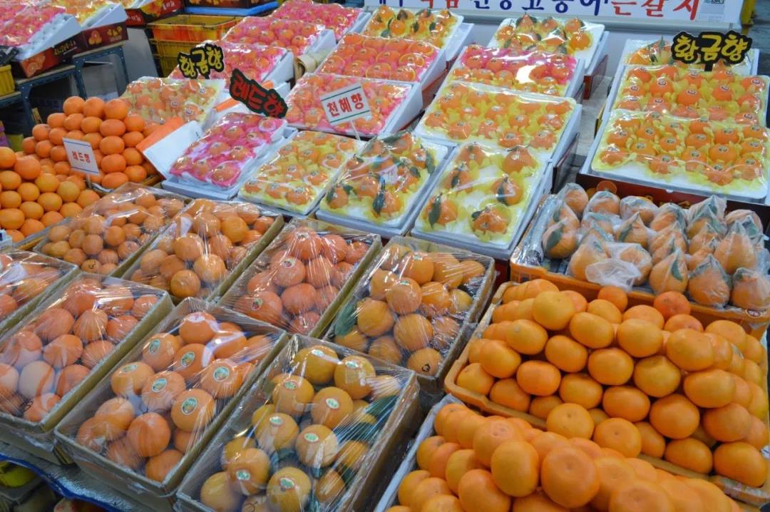 济州岛景点位置图高清,1月份济州岛旅游景点