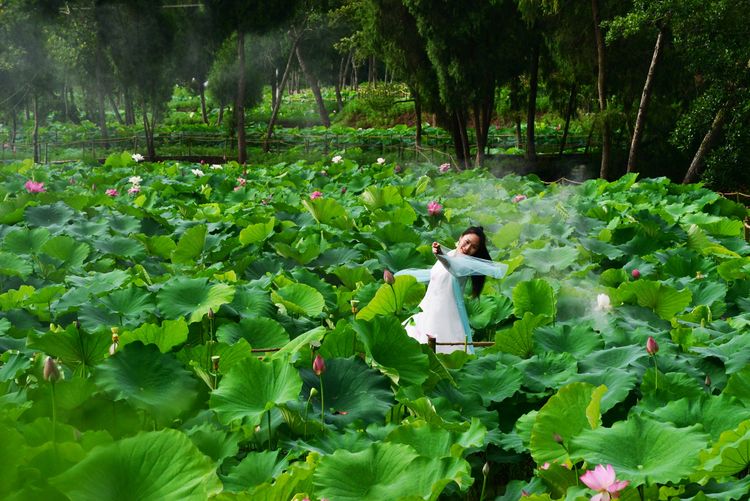 涔愯嚦鑽疯姳鎽勫奖浣滃搧娆ｈ祻,涔愯嚦鍗拌薄鎽勫奖