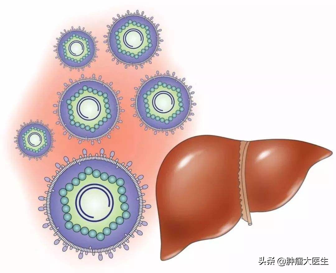 鑲濈檶鑳屽悗鐨勬渶澶х湡鍑剁珶鐒舵槸,鑲濈檶缃瓉绁搁灏卞湪浣犵殑鍘ㄦ埧