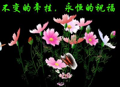 正月初九最美的祝福,正月初九的祝福