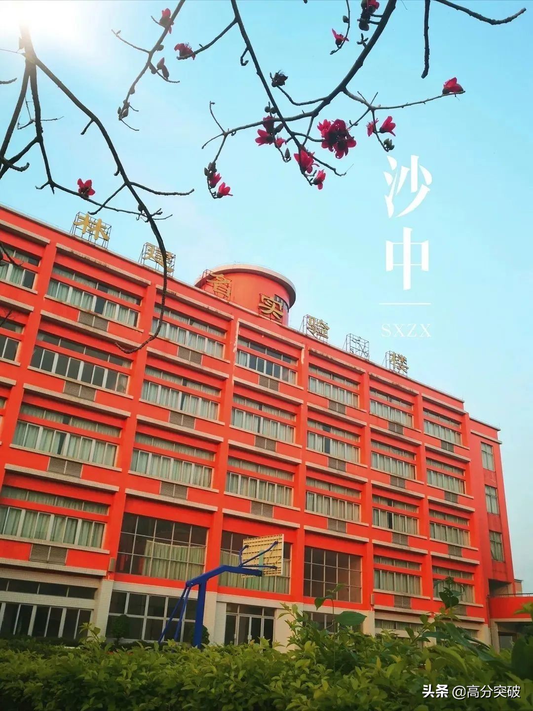 开学复课进行时,开学季告别暑假回归校园