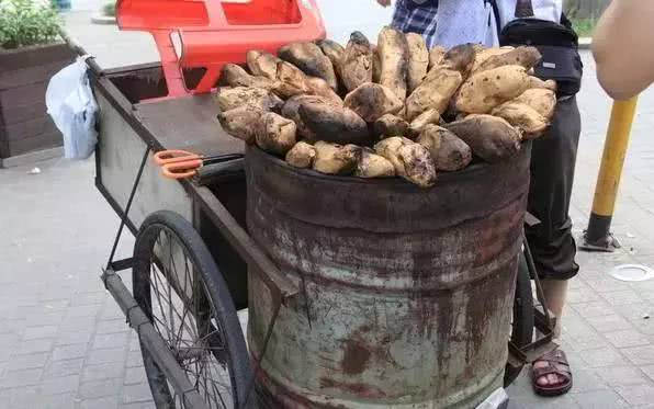 如果在洛南遇见你