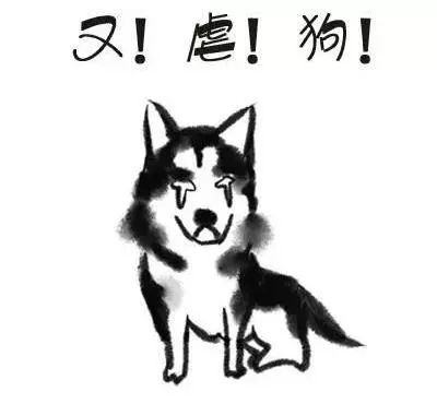 别动不动“累成狗”，汪星人表示不服！