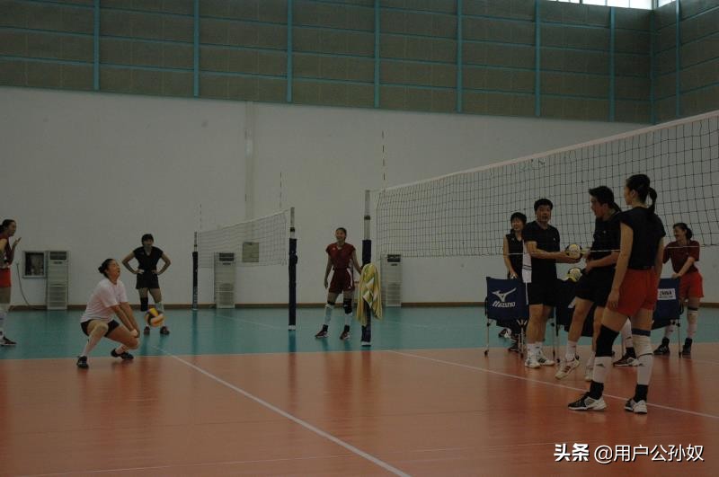 中国女排自由人18号简介,24年女排世联赛双自由人战术