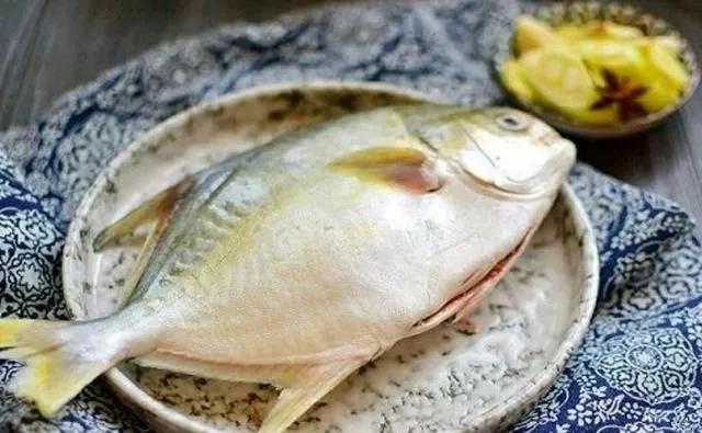 刺鲳鱼的红烧做法,红烧海鲳鱼怎么做好吃又简单视频