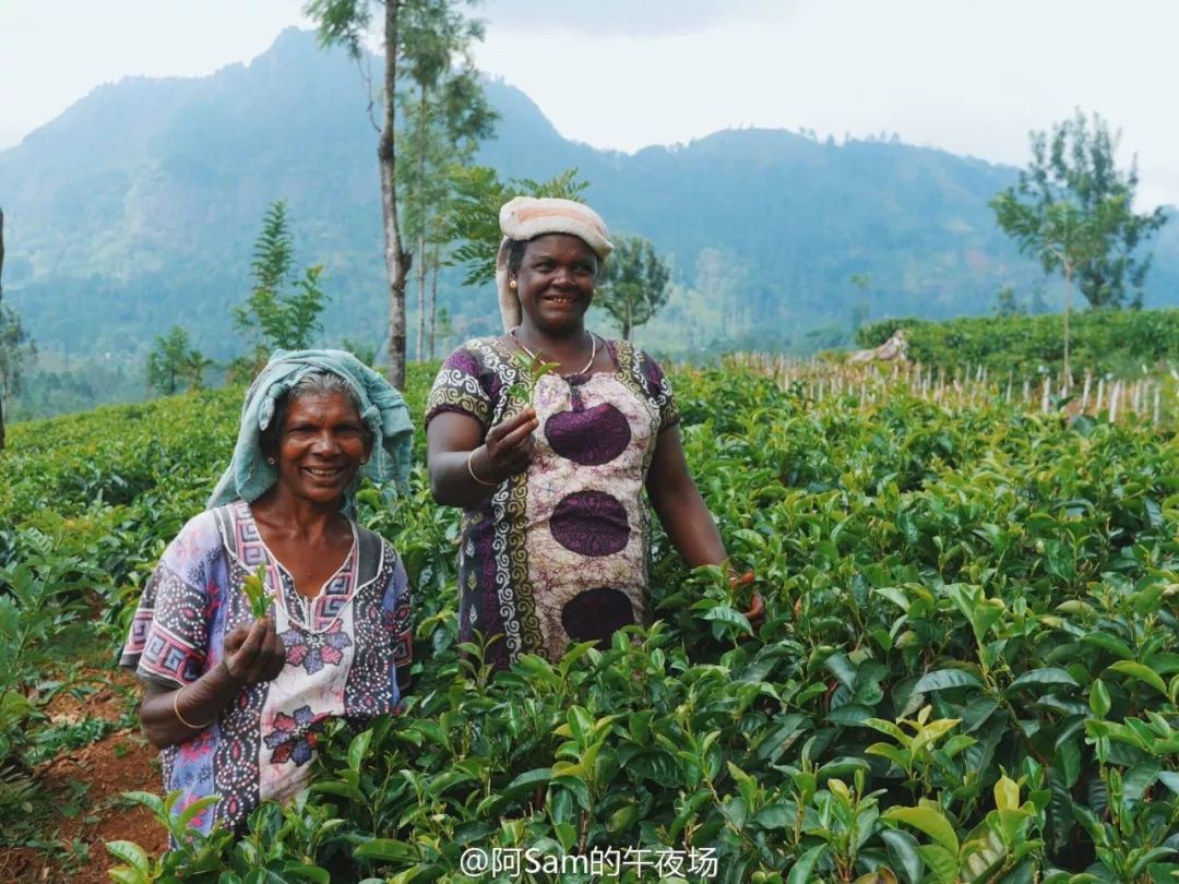 村上春树眼中的琅勃拉邦,村上春树喜欢你的理由