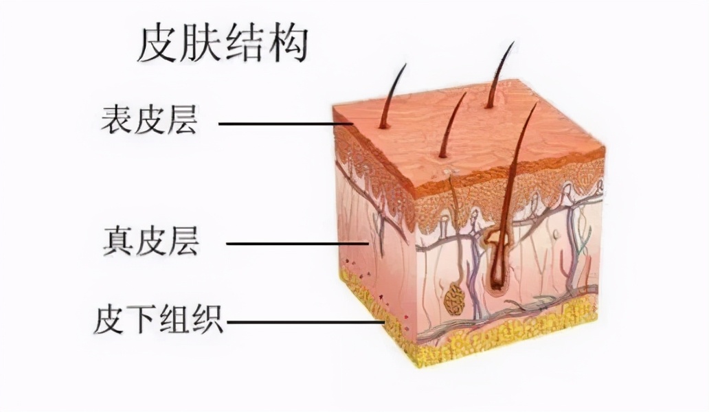 水光针的秘密这些美容针剂要当心,现在流行的水光针美容靠谱吗