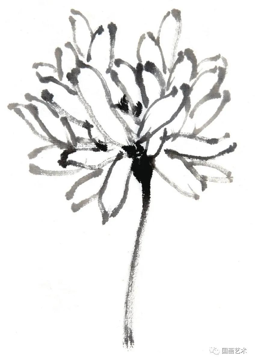 国画写意菊花龙爪菊,写意菊花画法教程简单