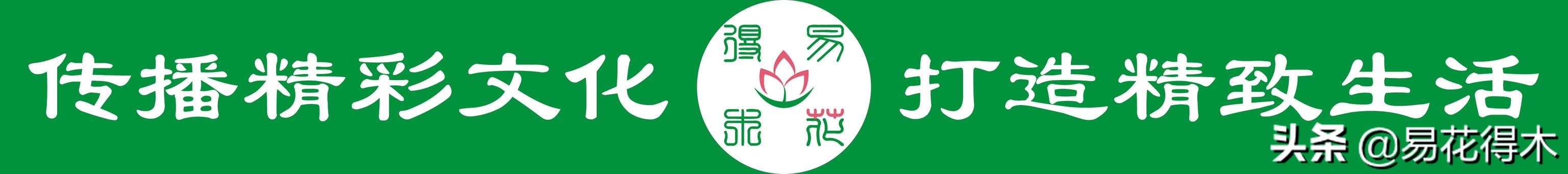花卉栽培｜蛇木、泥炭、椰糠、松针，这些纤维类植料有什么优点？