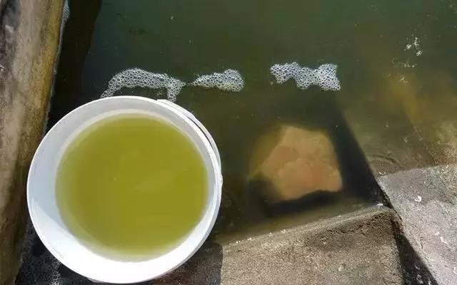 好水养好鱼鱼池,水产养殖水质过硬怎么办