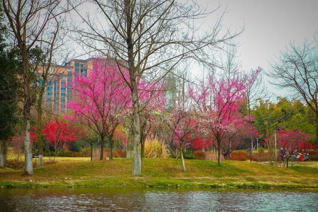 坐拥“中优”“南拓”双红利!