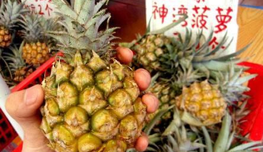 中山主要经济支柱产业,广东省中山市打卡景点