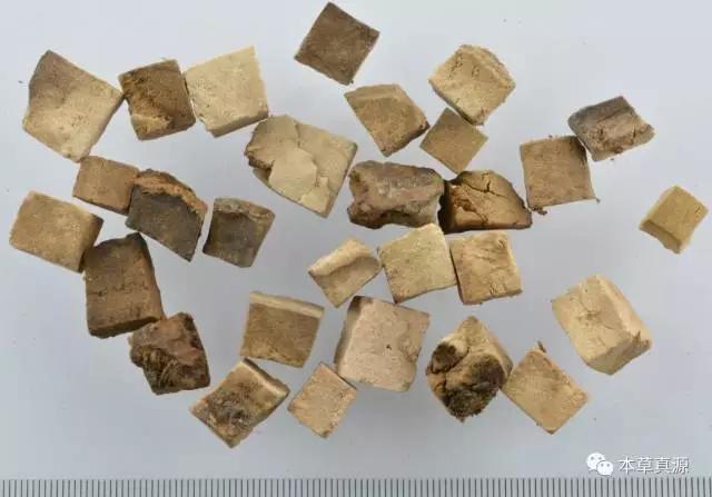 茯苓利湿健脾乃上品中草药,利水健脾茯苓的功效