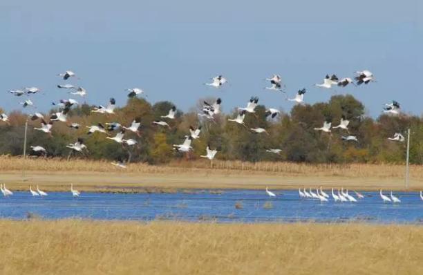 22路旅游专线,十条精品绿色旅游线路