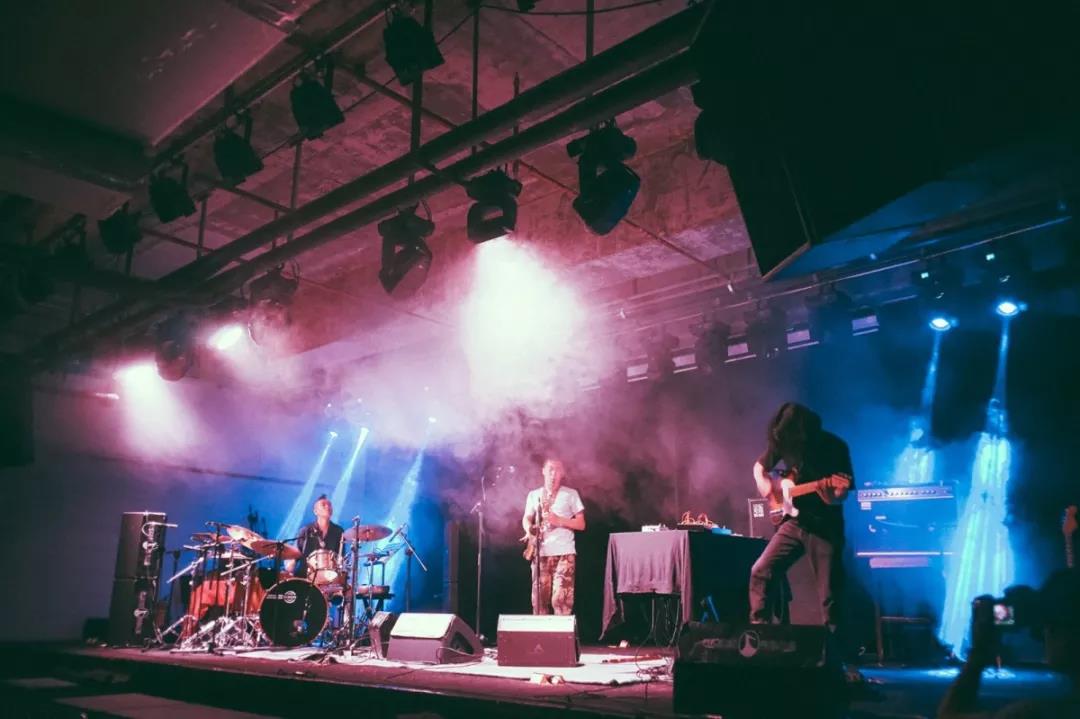 上海草莓基地挖草莓苗,超级草莓上海