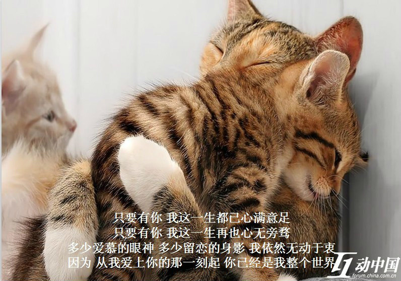 我只想说声爱你,只想再爱你一次