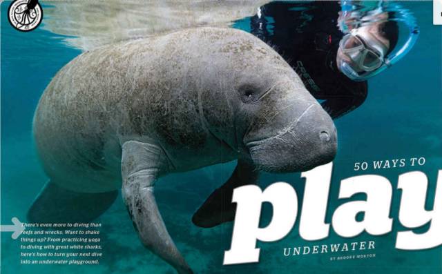 自由潜水怎么玩,潜水20个基本技巧