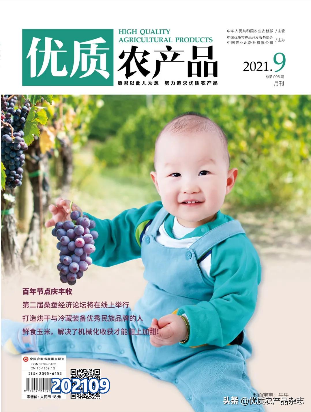 中宁原产地枸杞品质如何,中宁枸杞官方认证品牌