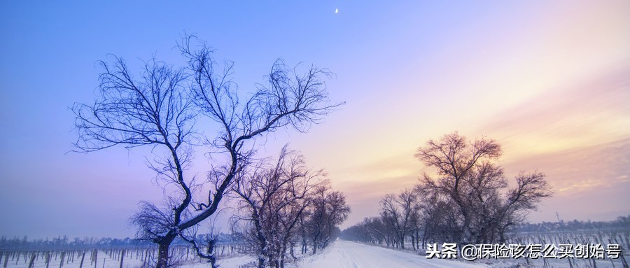 平安福2019详细解读,平安福2019怎样