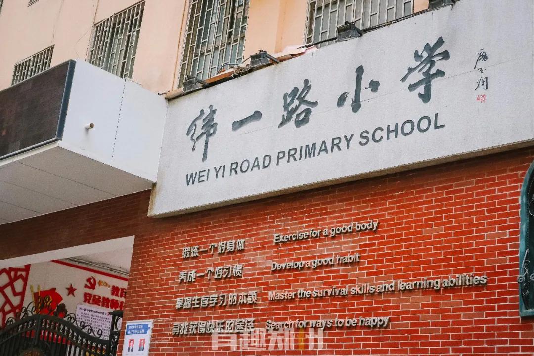 纬一路：在遮天的法桐里想起龙门书店的往事，以及家属院时光……