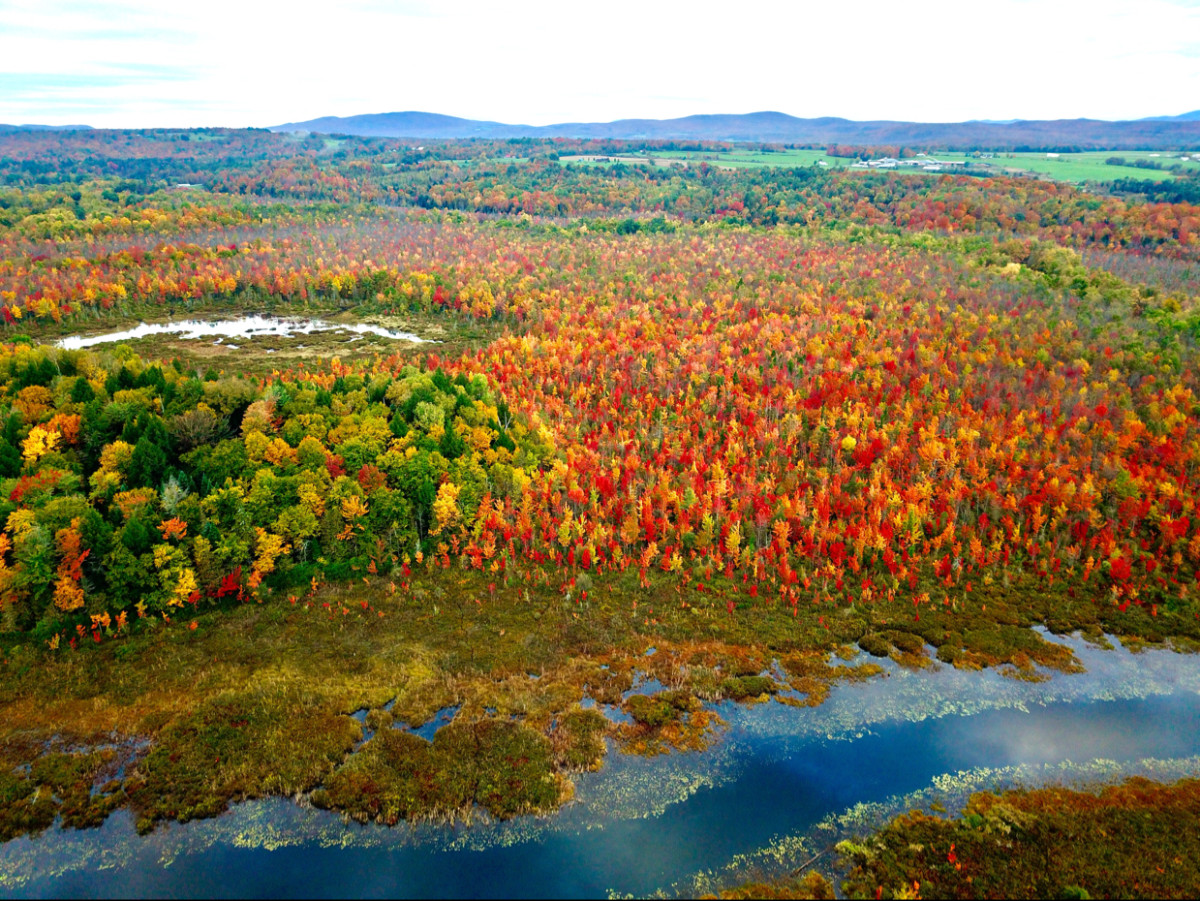 企业如何打造具有凝聚力的团队,护理加强团队建设提高团队凝聚力