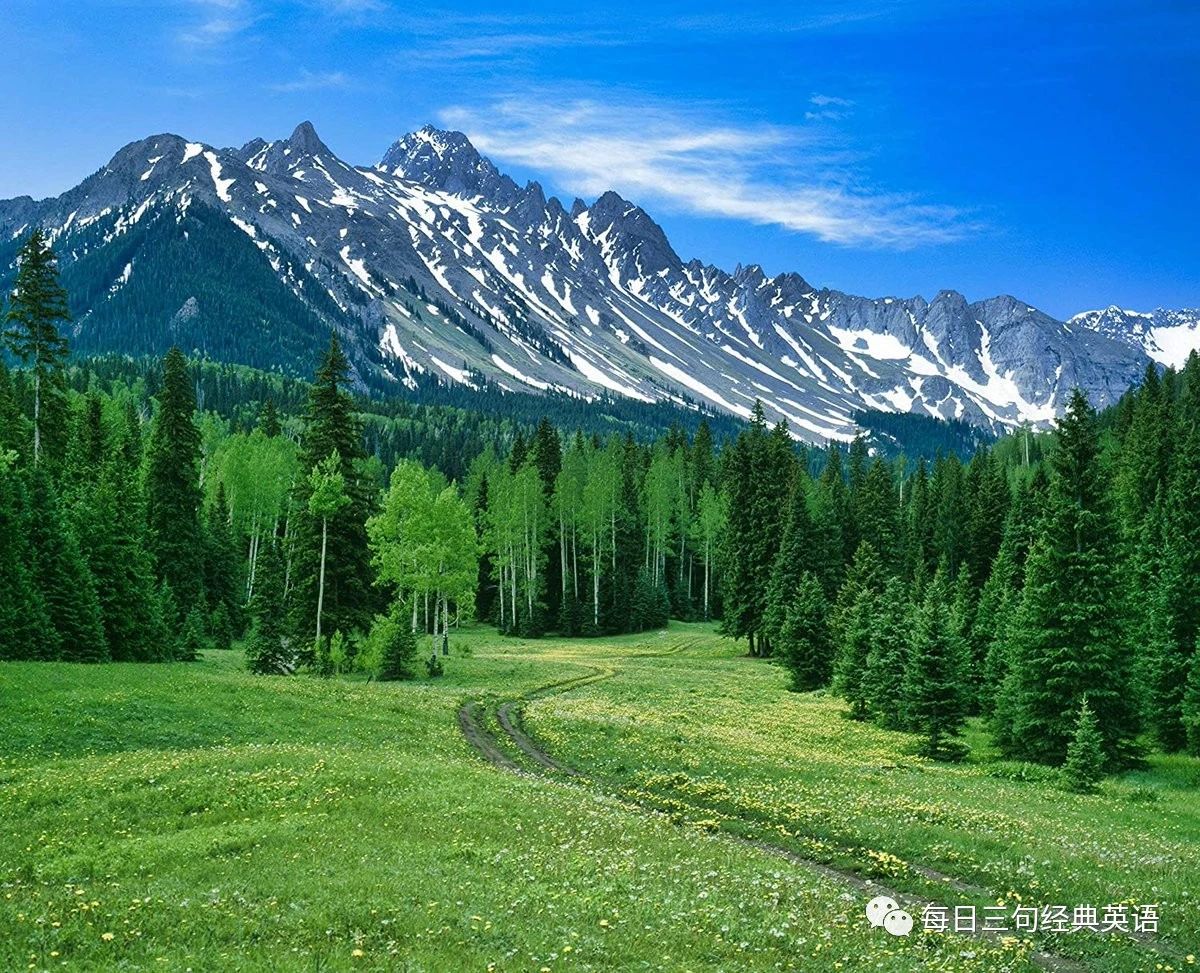 书籍是人类进步的阶梯,书籍是人类进步的阶梯是谁说的