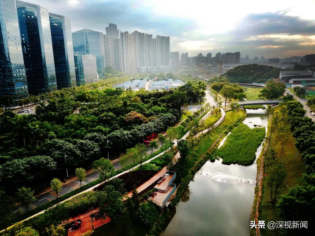 这就是幸福日本歌曲,重庆幸福南山