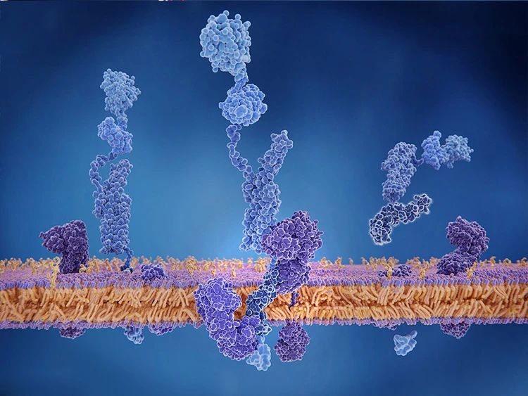 萎凋干燥杀青的区别,普洱茶萎凋什么程度杀青最佳