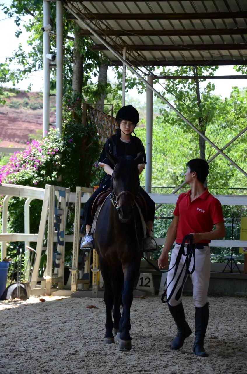 牛津国际公学成都分校多少钱一年,牛津国际公学招生简章