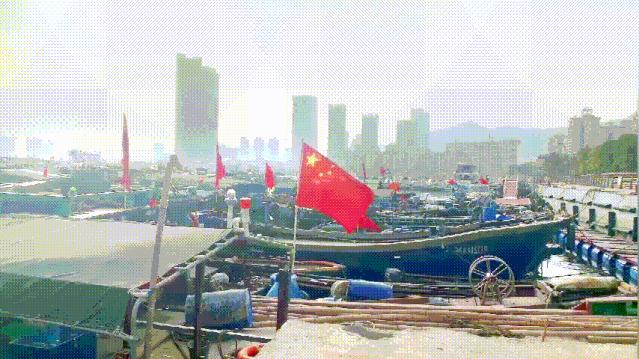 去蛇口玩吗,深圳蛇口值得去吗