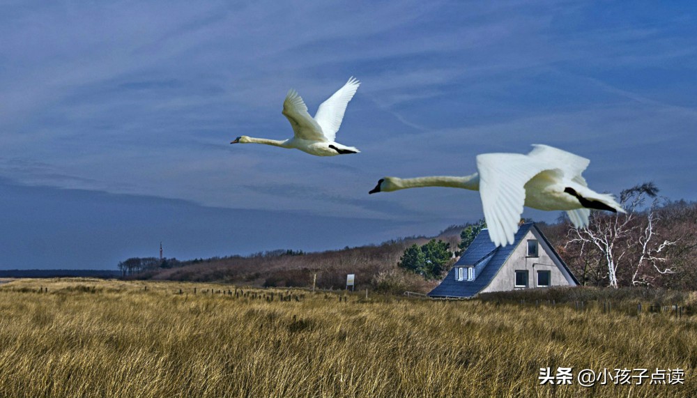 亲人离世思念亲人的诗句,亲人的诗句古诗大全