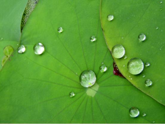 全进口抗指纹涂层,不锈钢抗指纹涂层材料