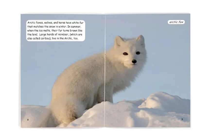 4级英语阅读理解答案分布,英语各个分级阅读的区别