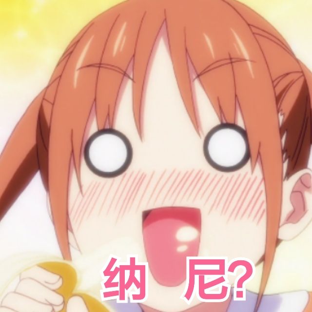 有趣的海龟是怎么样的,海龟特点与有趣之处