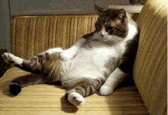 肩膀老是耸肩怎么回事,肩周炎肩膀僵硬了感觉很重怎么办