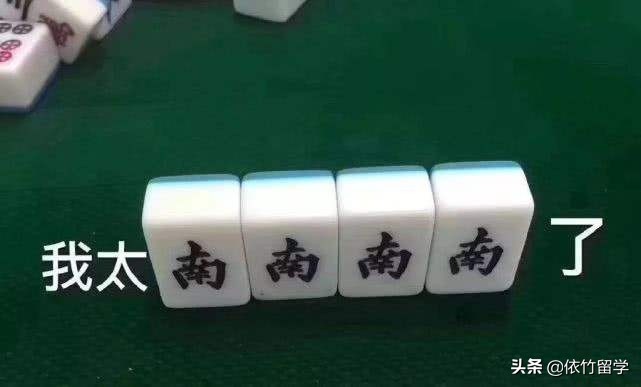 依竹留学官网 (依竹留学)