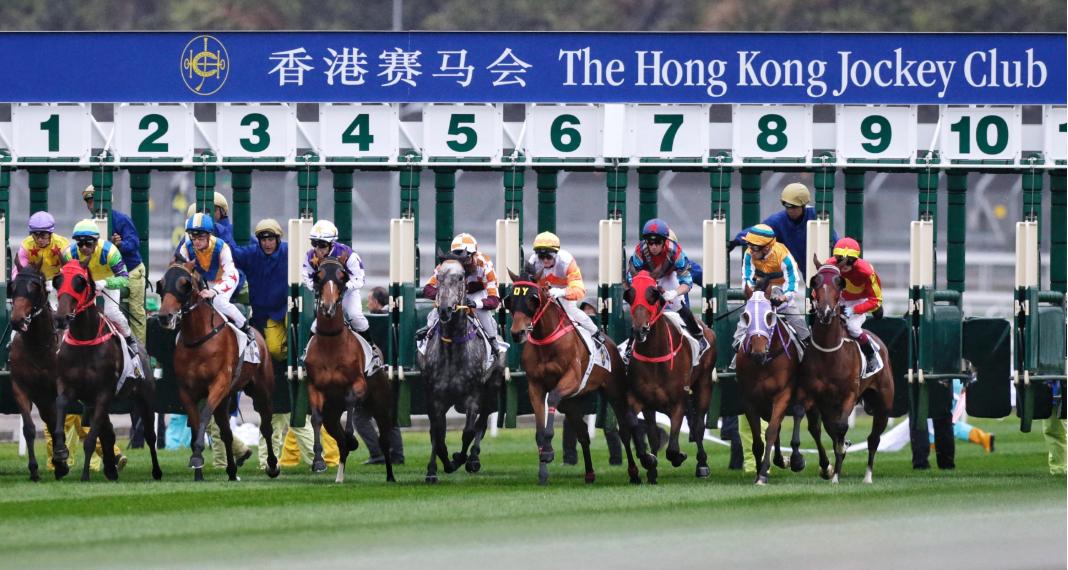 香港赛马会是什么样的神仙存在?