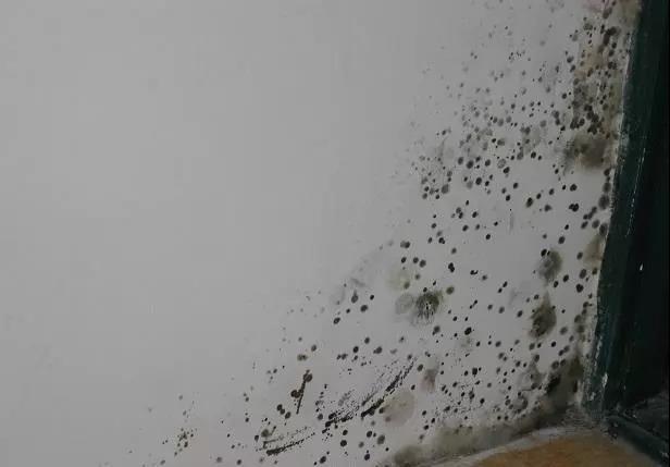 烟熏墙面变白最简单的方法,被火烧过的墙面怎样变白