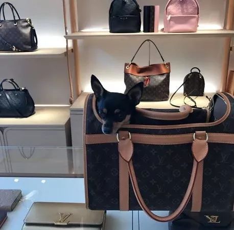 男子假冒王子30年，骗过政府、银行、富商，诈骗5000多万！最后因一份火腿露出马脚