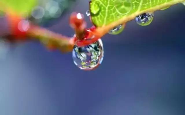 赞美且以深情共白头的诗句,愿有岁月回首且以深情共白头的诗