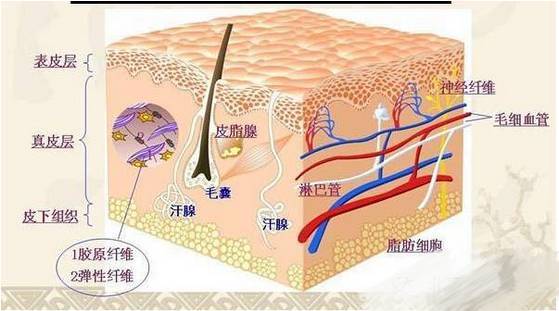 都挺好评分高还是低,都挺好后期