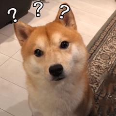 同学生活中搞笑的段子,同学录幽默搞笑段子