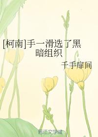 柯南沙雕U盘穿越明朝天子电竞江湖｜小莫网文推书NO.007