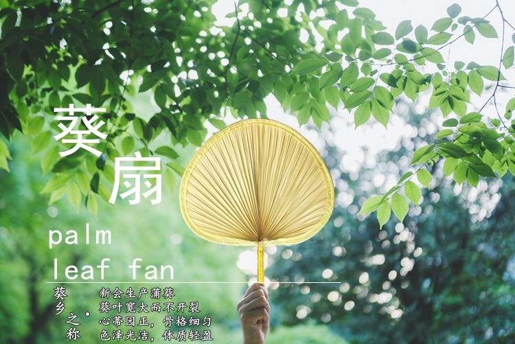 鍋滅數澶囩敤鐗╁搧娓呭崟,鍋滅數蹇呭濂界墿