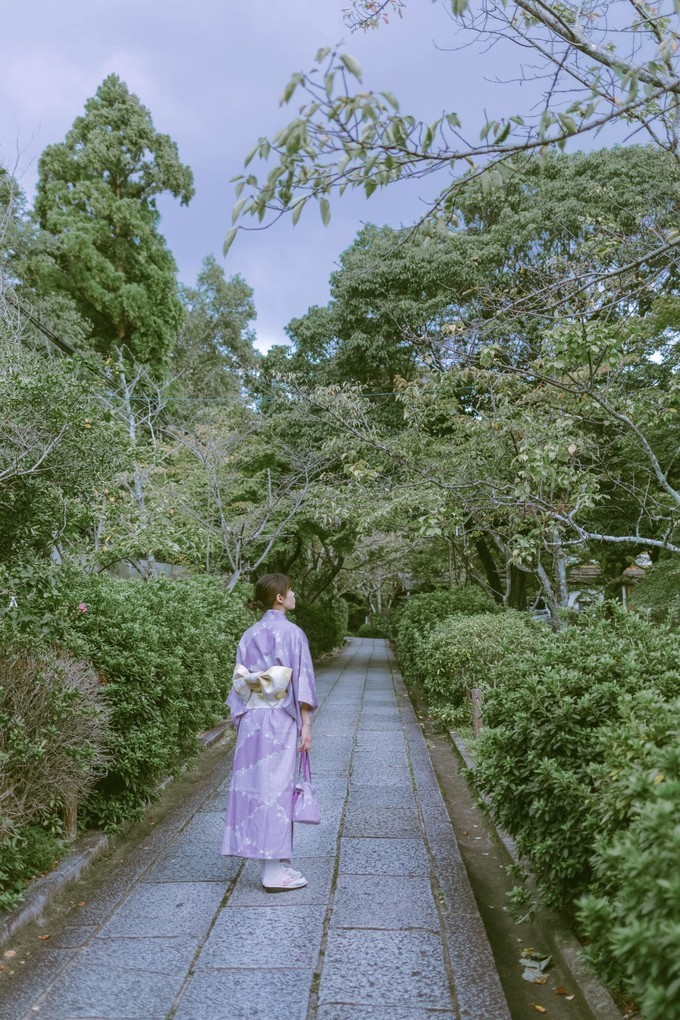 伏见稻荷大社怎么去清水寺,伏见稻荷大社到清水寺远吗