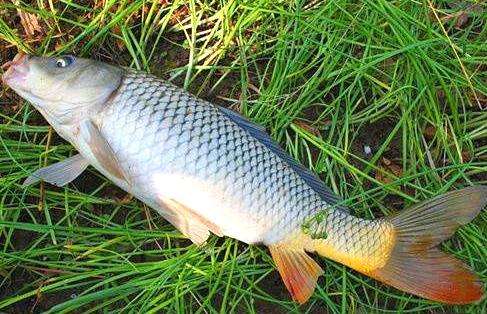 如何找到一个钓鱼窝子,找到一个好钓点